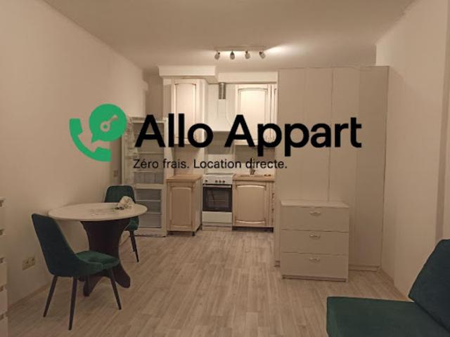 Location Appartement 1 pièce 23 m2 Lyon 6ème