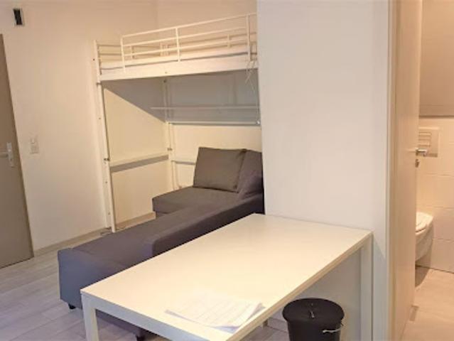 Location Appartement 1 pièce 23 m2 Strasbourg
