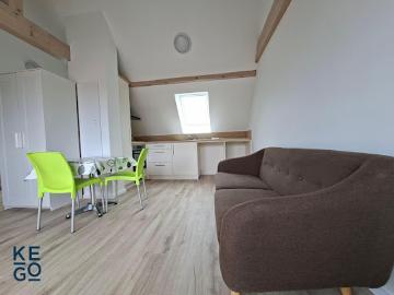 Location Appartement 1 pièce 23.45 m2 Saverne