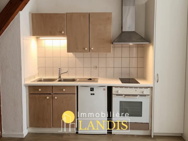 Location Appartement 1 pièce 23m² SELESTAT 67600