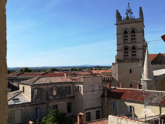 Location Appartement 1 pièce 34m² MONTPELLIER 34000