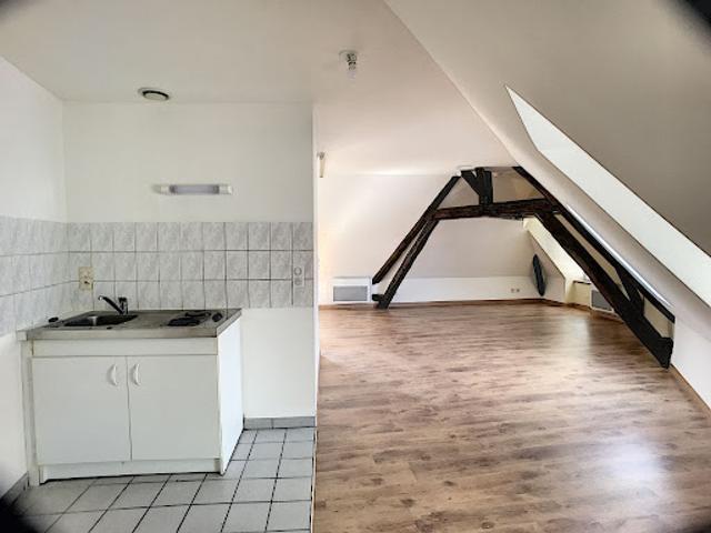 Location Appartement 1 pièce 35 m2 Sandillon