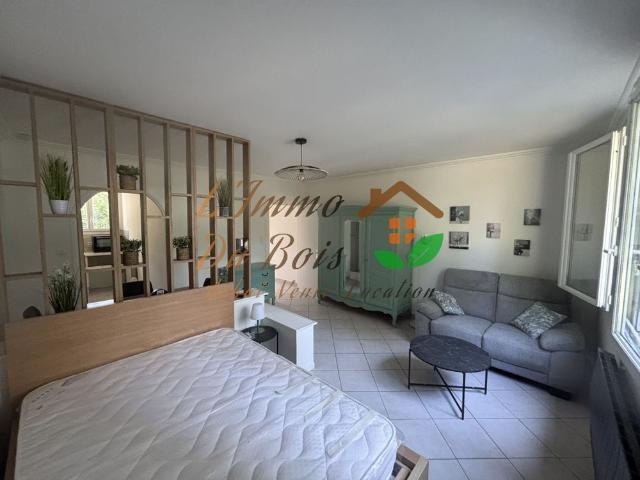 Location Appartement 1 pièce 35m² ROUSSILLON 38150