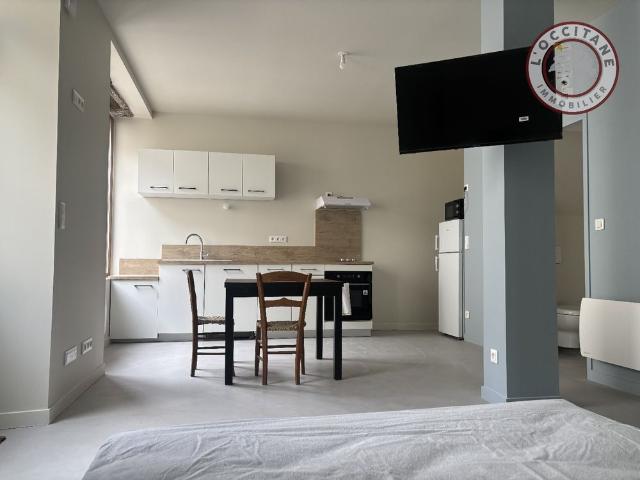 Location Appartement 1 pièce 36m² FLEURANCE 32500