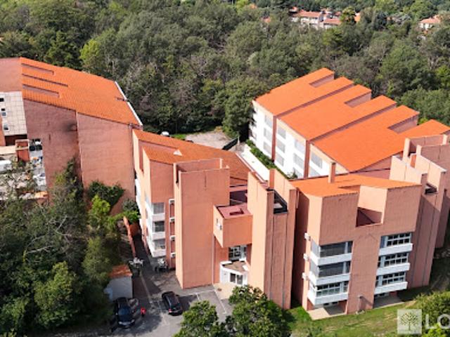 Location Appartement 1 pièce 37 m2 Vernet les Bains