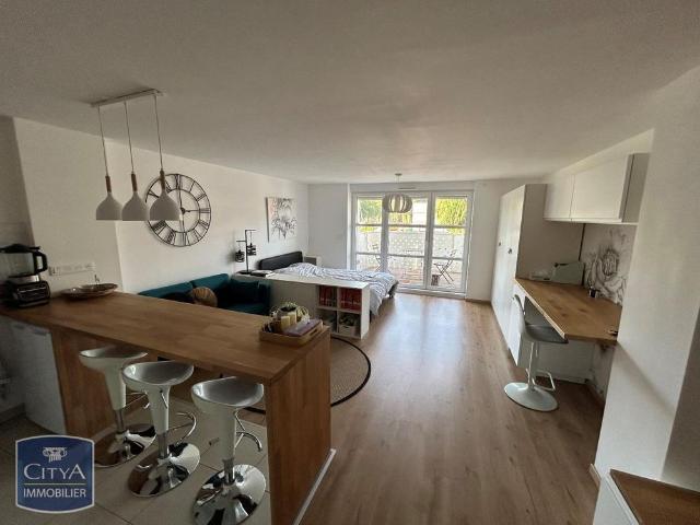 Location Appartement 1 pièce 38m² STRASBOURG 67000