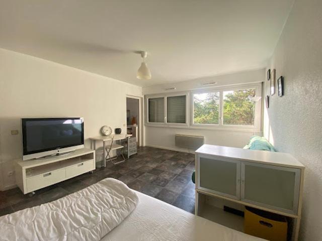 Location Appartement 1 pièce 39.41 m2 Villeurbanne