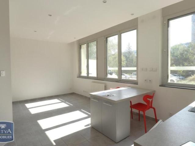 Location Appartement 1 pièce 39m² ST ETIENNE 42100