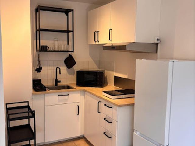 Location Appartement 1 pièce 30 m2 Toulouse