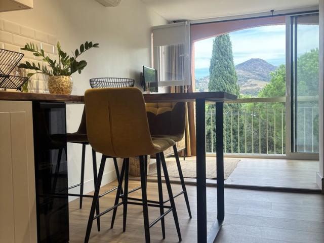 Location Appartement 1 pièce 30m² COLLIOURE 66190