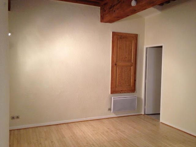 Location Appartement 1 pièce 31 m2 Lyon 1er