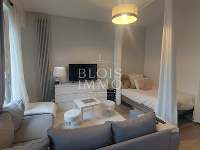 Location Appartement 1 pièce 31.63 m2 Blois