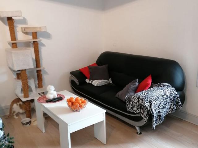 Location Appartement 1 pièce 31m² CHAZAY D AZERGUES 69380