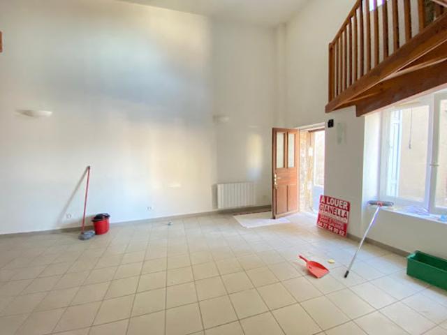 Location Appartement 1 pièce 47.19 m2 Saint Galmier