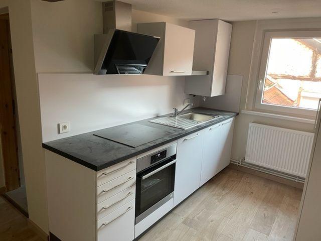 Location Appartement 1 pièce 49m² WISSEMBOURG 67160