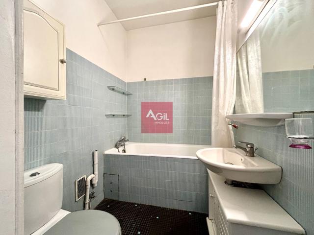 Location Appartement 1 pièce 41m² GRENOBLE 38100