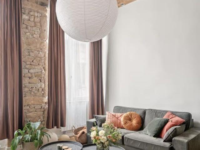 Location Appartement 1 pièce 42 m2 Lyon 1er