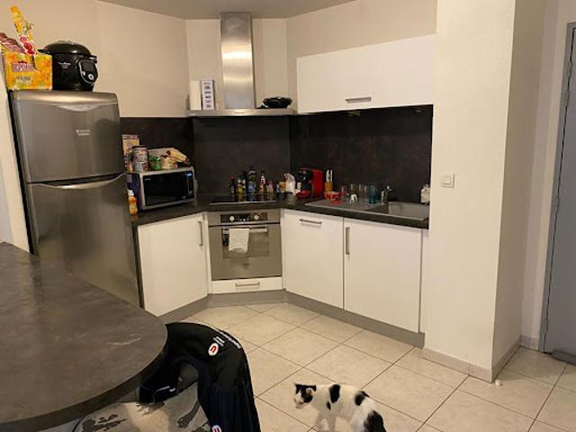 Location Appartement 1 pièce 55 m2 Nègrepelisse