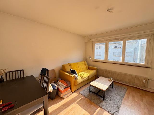 Location Appartement 1 pièce 56.73 m2 Strasbourg