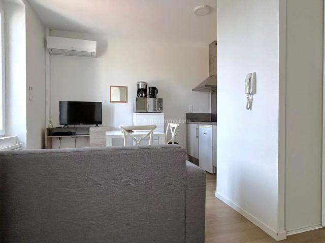 Location Appartement 1 pièces 21 m2 à Albi