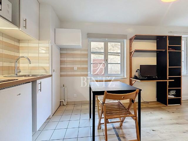 LOCATION APPARTEMENT 20.56m² Strasbourg