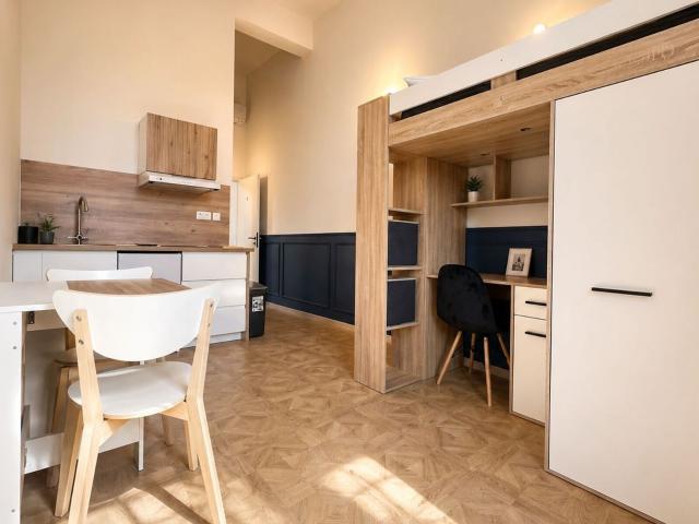 Location appartement, 25 m² T 1 à Saverne, 620 €