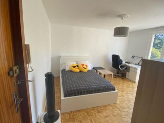 Location appartement, 29.69 m² T 2 à Lyon 5, 530 €