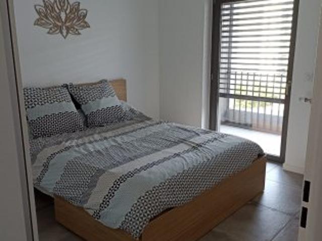 Location Appartement 2 pièces 40 m2 Lyon 2ème