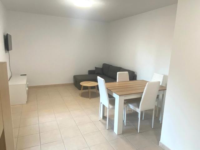 Location Appartement 2 pièces 40m² CASTELSARRASIN 82100