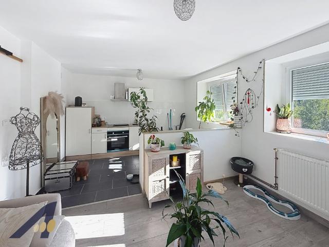 Location Appartement 2 pièces 40m² VALDOIE 90300
