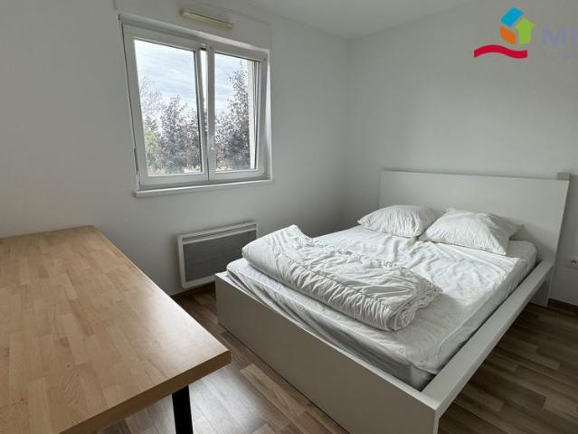 Location Appartement 2 pièces 41m² DUTTLENHEIM 67120