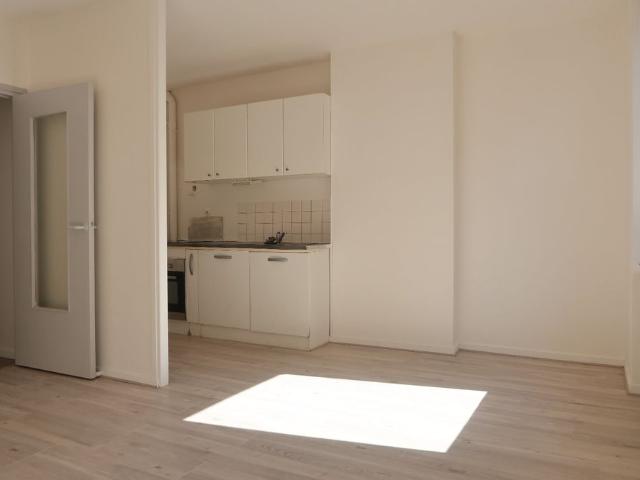Location Appartement 2 pièces 41m² ST ETIENNE 42100