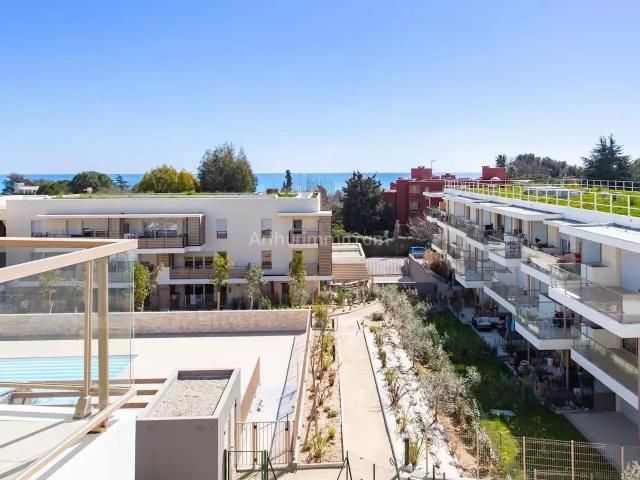Location Appartement 2 pièces 42 m2 à Villeneuve Loubet