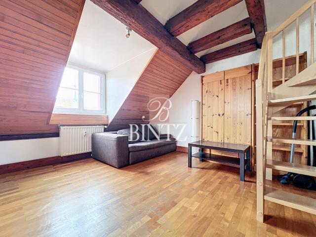 Location Appartement 2 pièces 42m² STRASBOURG 67000