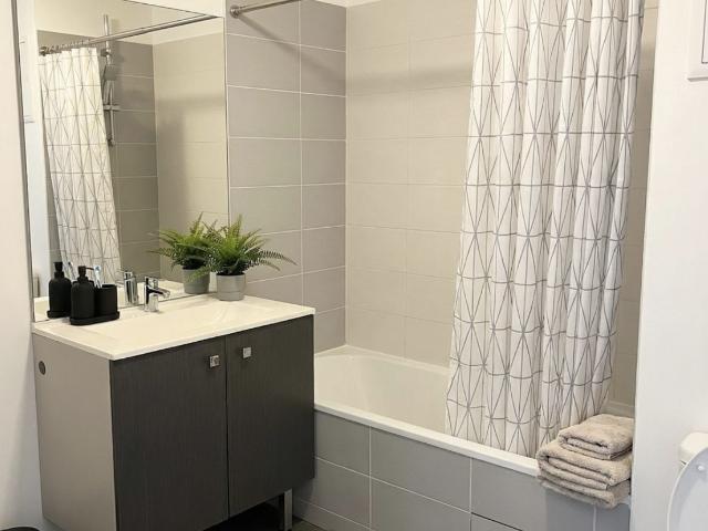 Location Appartement 2 pièces 47m² TOULOUSE 31000