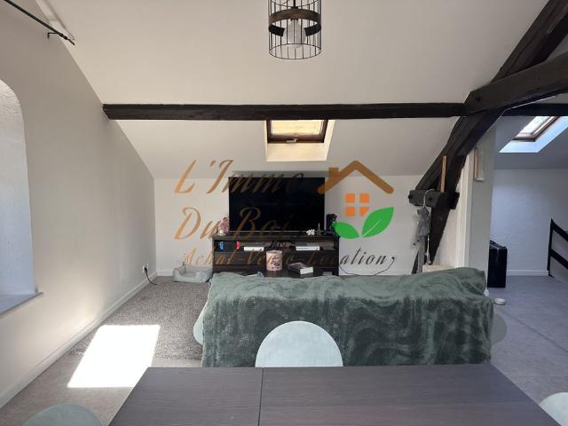 Location Appartement 2 pièces 44m² CHAVANAY 42410