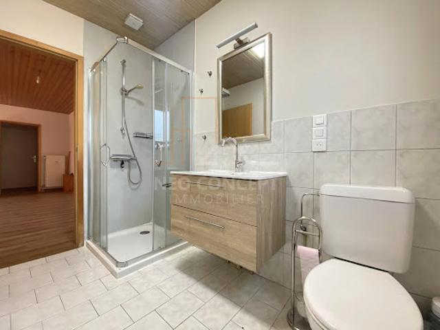 Location Appartement 2 pièces 45 m2 Wissembourg