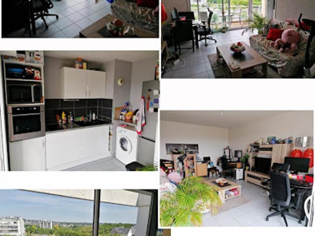 Location Appartement 2 pièces 45 m2 Cesson sevigne