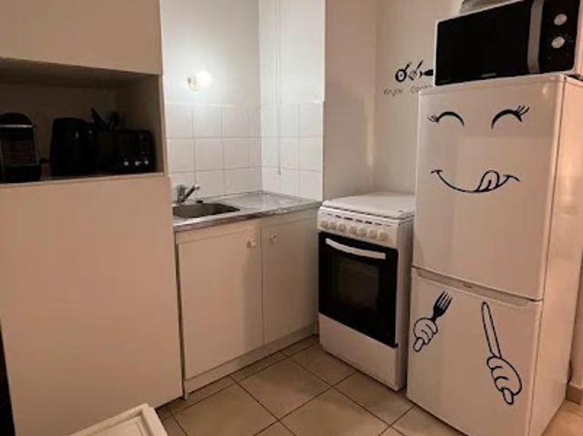 Location Appartement 2 pièces 45 m2 Lyon 7ème