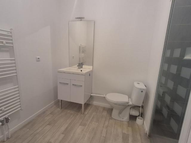 Location Appartement 2 pièces 46m² LILLE 59160