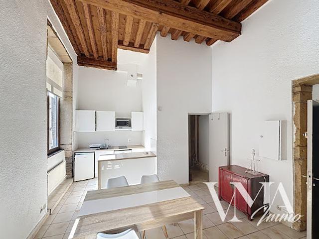 Location Appartement 2 pièces 48 m2 Lyon 1er