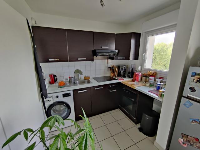Location Appartement 2 pièces 49m² LILLE 59260