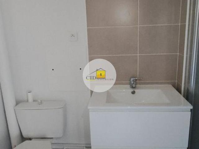 Location Appartement 2 pièces 49m² ST PRIEST 69800