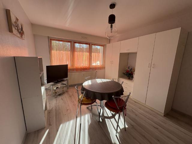 Location Appartement 2 pièces 53m² STRASBOURG 67100