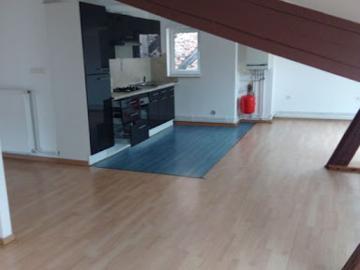 Location Appartement 2 pièces 50 m2 Sarralbe