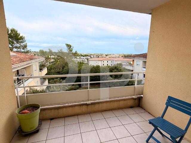 Location Appartement 2 pièces 51m² MONTPELLIER 34090