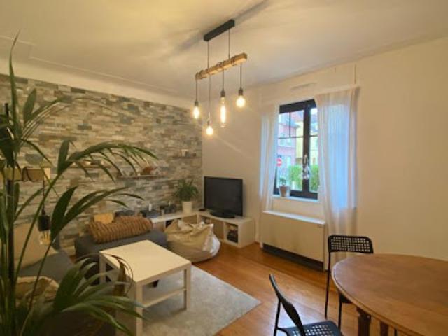Location Appartement 2 pièces 52.19 m2 Schiltigheim