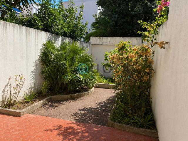 Location Appartement 2 pièces 57m² JUAN LES PINS 06160