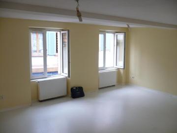 Location Appartement 2 pièces 54 m2 Wasselonne