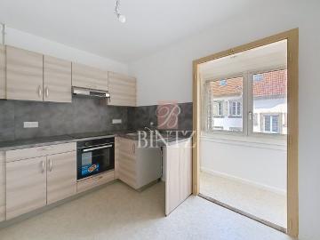 Location Appartement 2 pièces 55m² STRASBOURG 67200